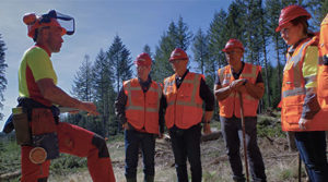 Formations pour les salariés du secteur forestier